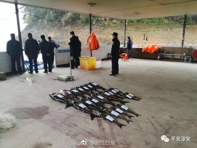 3040台“华为荣耀”手机被深圳海关没收，案值逾340万元