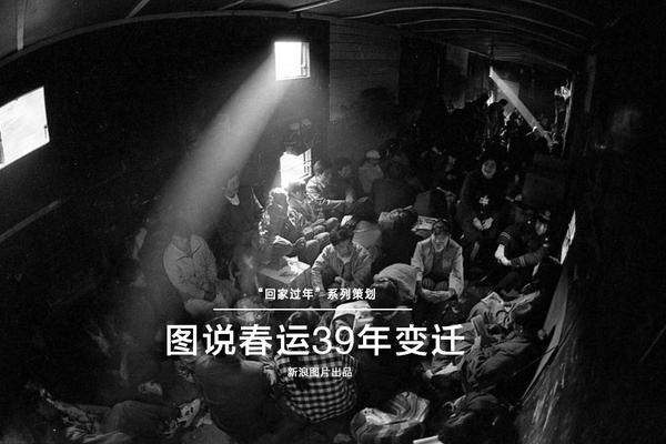 第49届台湾电影金马奖视频专题5条11/24