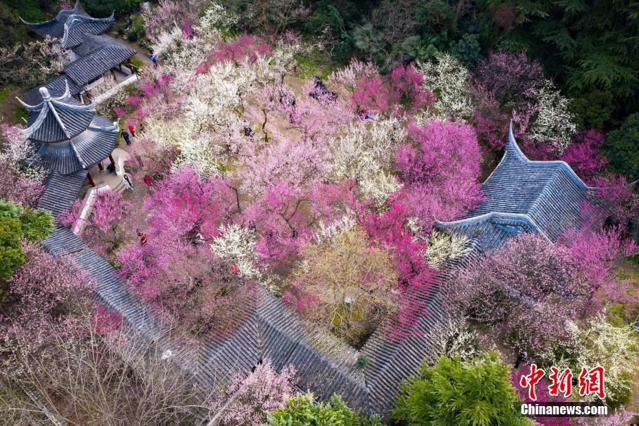 四天假期显威力 五一首日广州出游人数比春节高峰还多！
